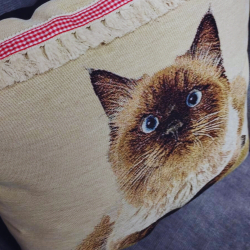 Capa de Almofada Siamês